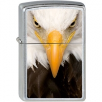 Zippo Eagles